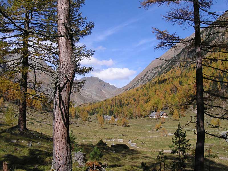 landschaft_herbst.jpg