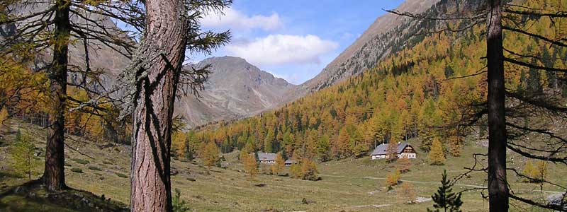 landschaft_herbst_header.jpg